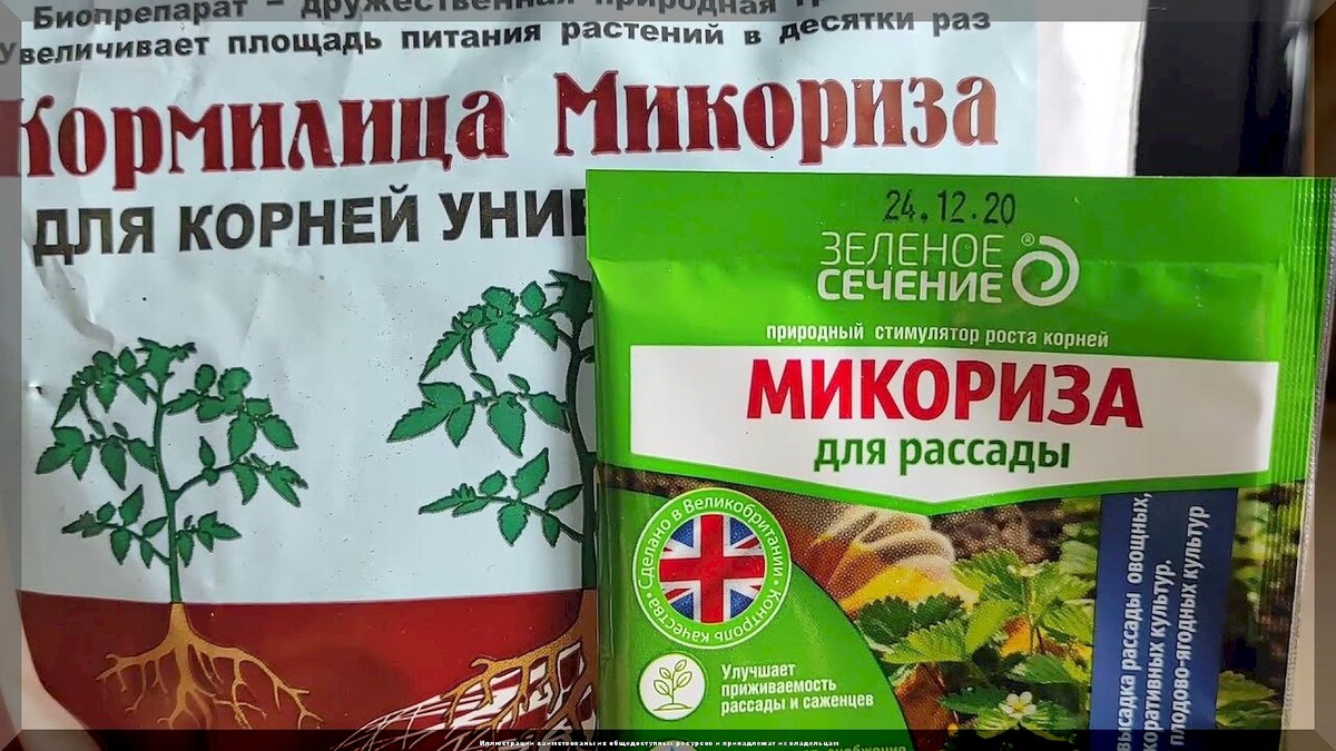 https://vk.com/photo-159774511_457268064