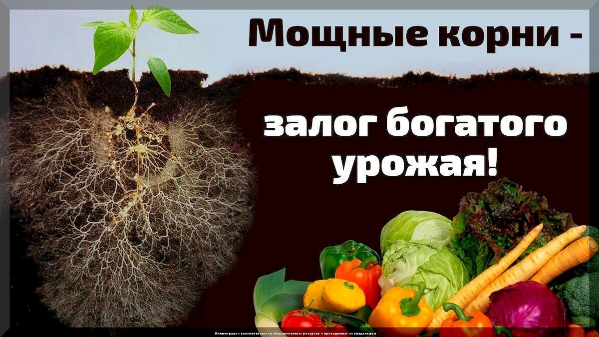 https://vk.com/photo-159774511_457268065