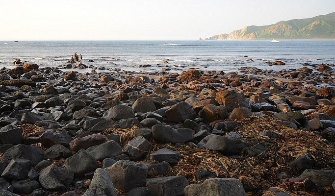 Камчатка, на берегу океана