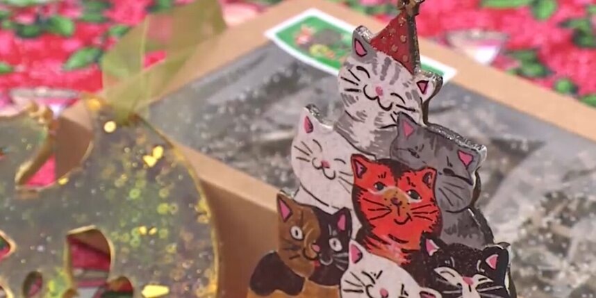    скриншот репортажа телеканала "Санкт-Петербург"