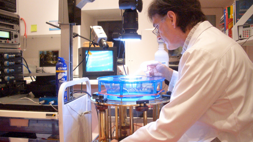    Фото: www.globallookpress.com/John Stewart Reid/Barcroft Med