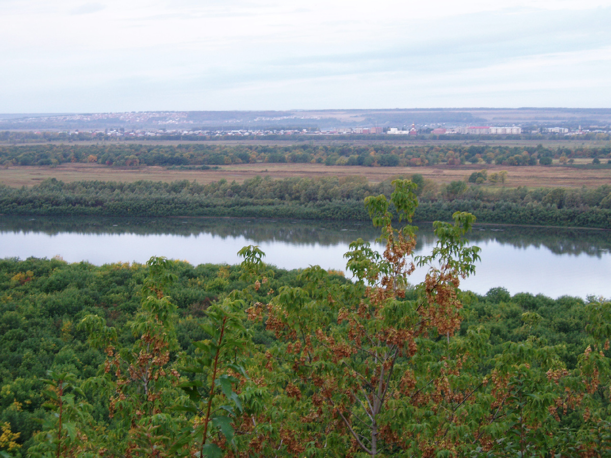 Фото: Алексей Чугунов