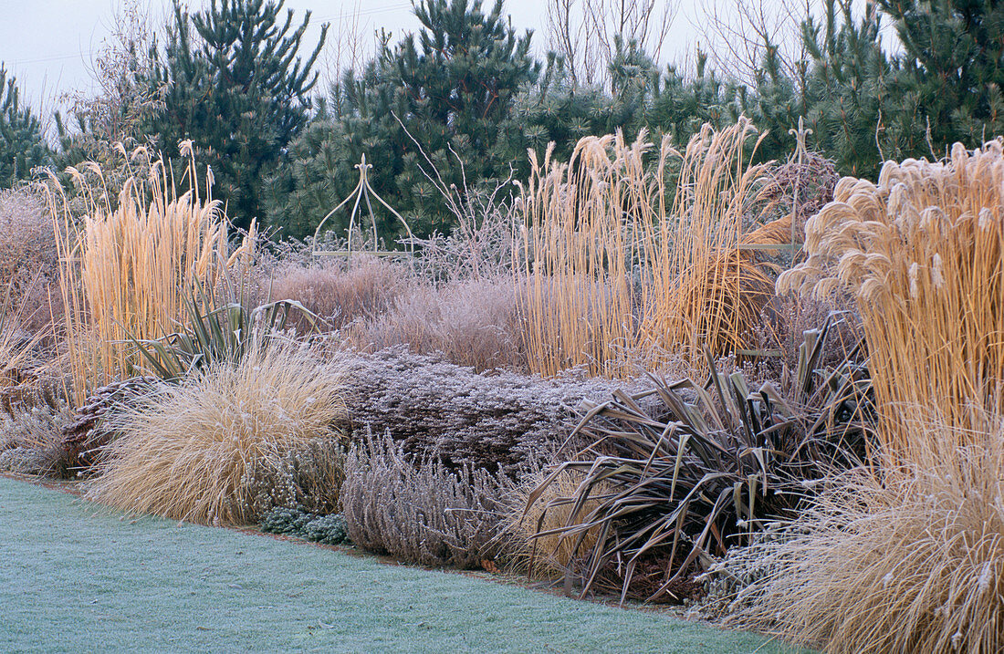 Источник фото - https://goo.su/sy30Jq7