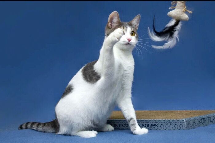 Листайте вправо, чтобы увидеть больше изображений