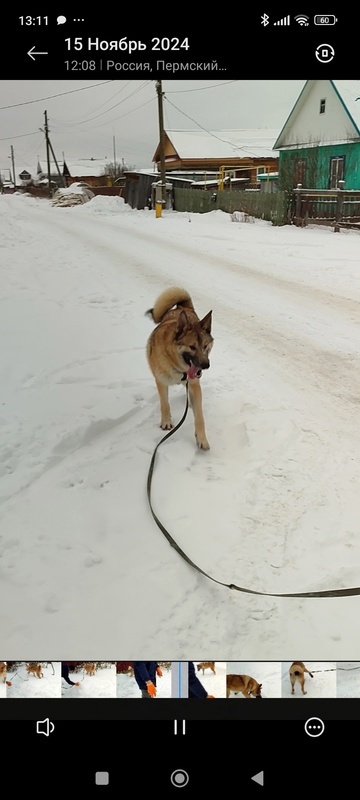 Фото из группы "Право на жизнь город Чусовой"