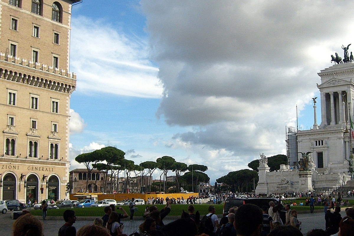 Фото автора. Интересные сосны в Италии.