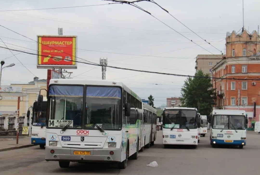 Современные автобусы.