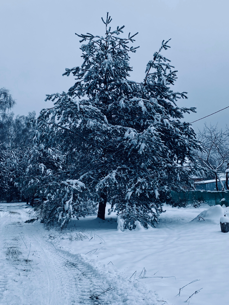 Сегодня наступила снежная зима!