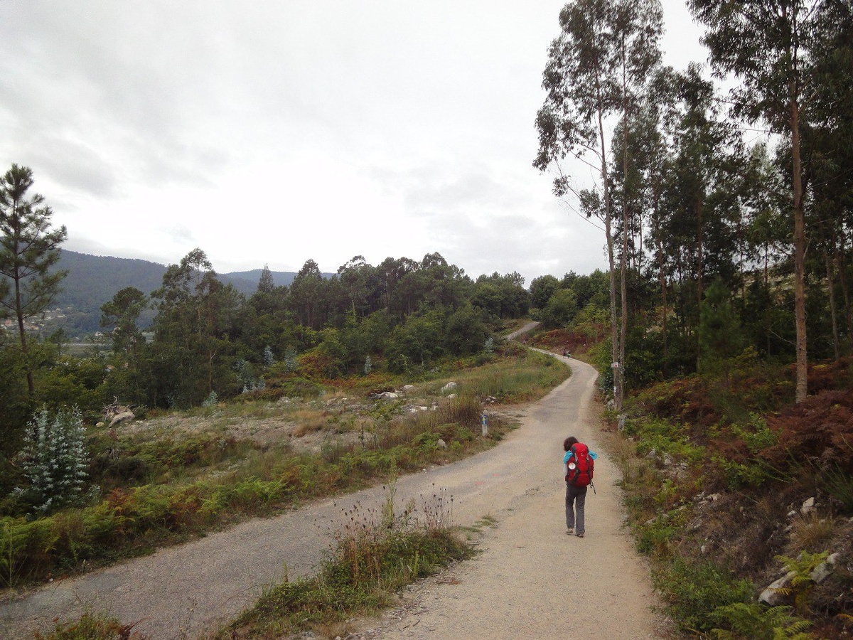 И снова в Путь!