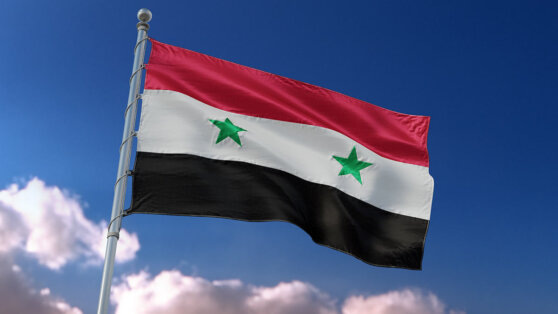    Сирийская армия укрепила свои позиции в пригороде Дамаска Богдан Герцен