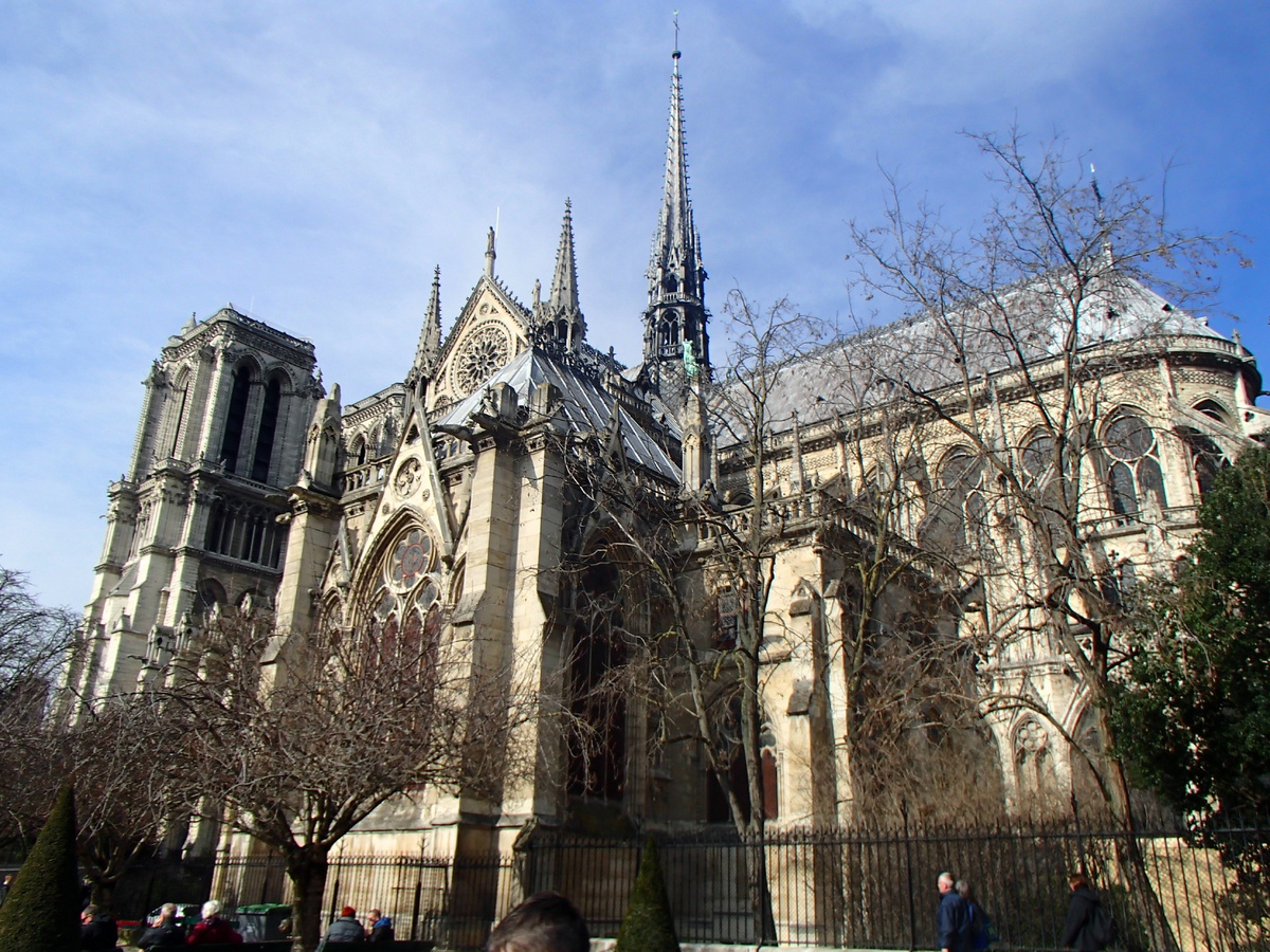 Собор Парижской Богоматери. Фото автора