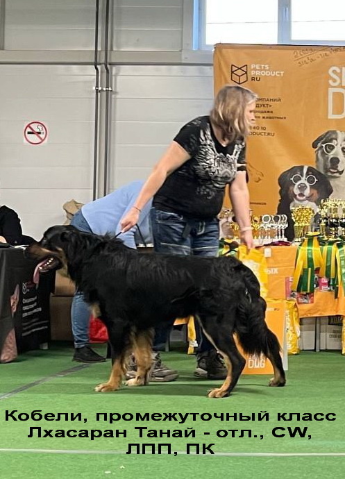 Лхасаран Танай