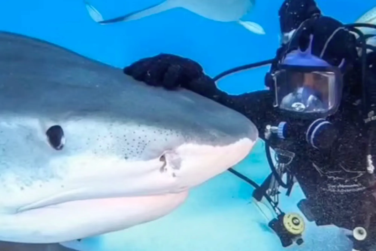 И снова селфи с Эммой