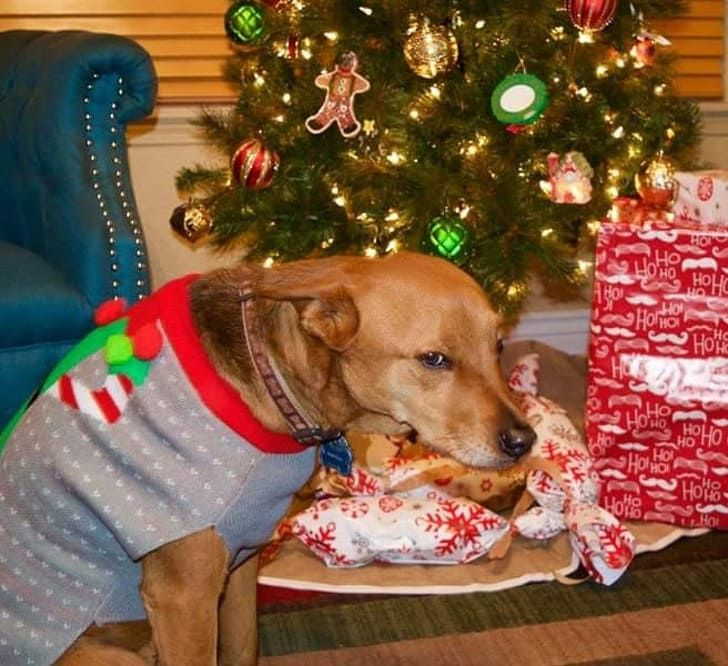 Яндекс.Картинки