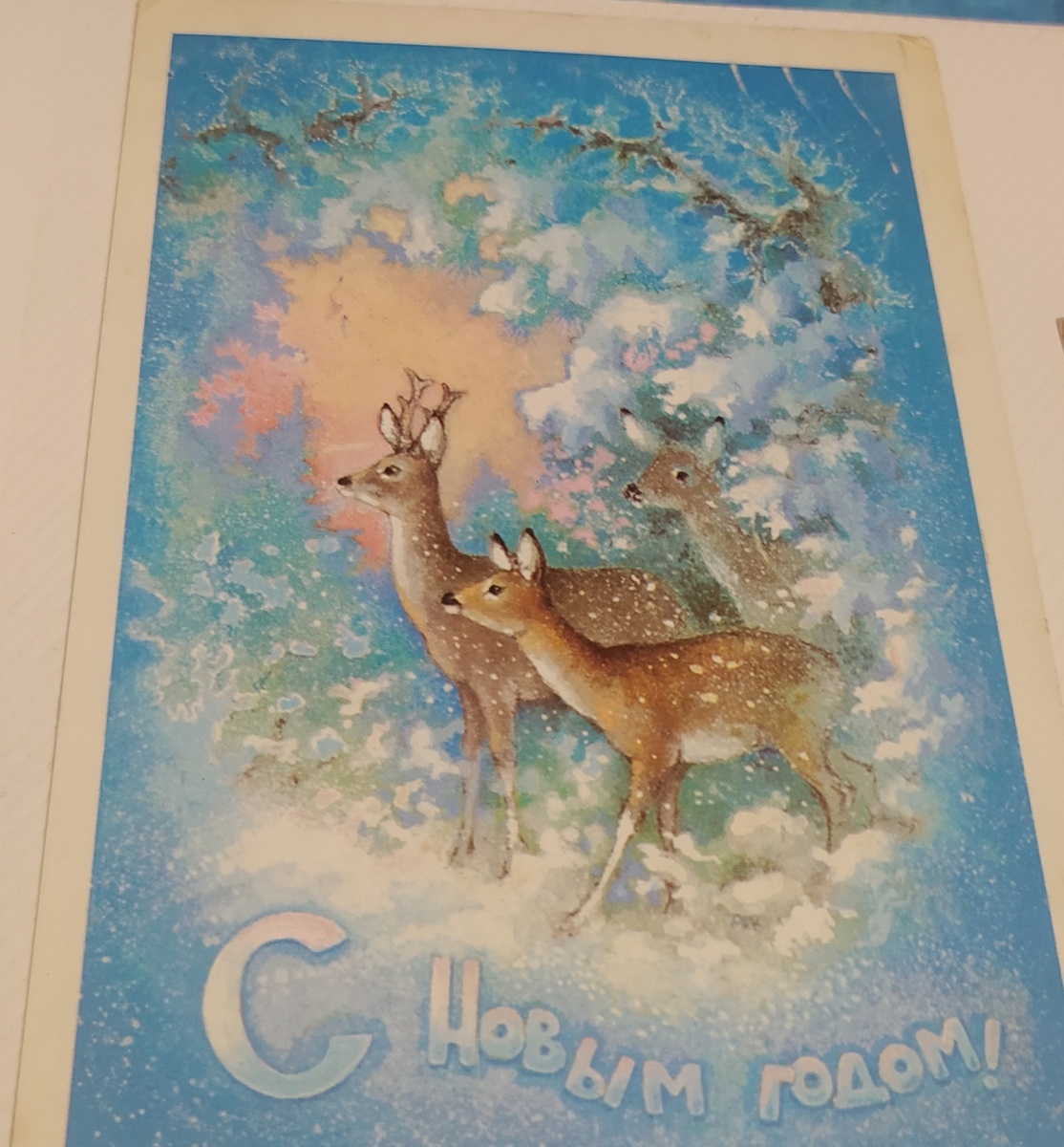 Фото из моей коллекции новогодних открыток