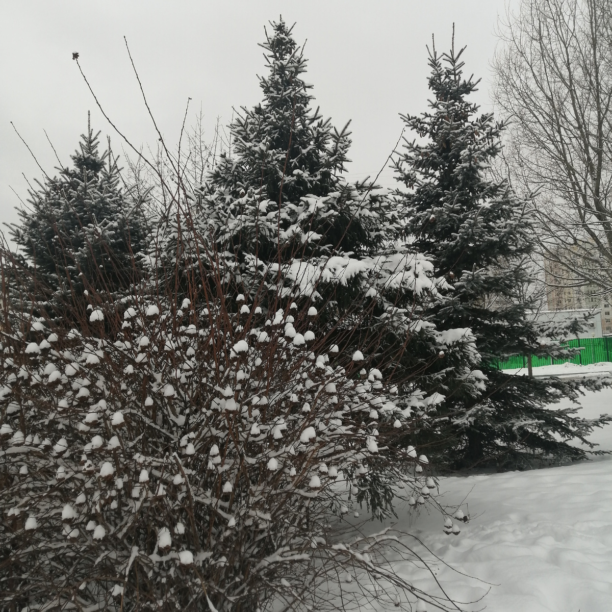 Фото из альбома