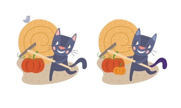 Найди 5 отличий 