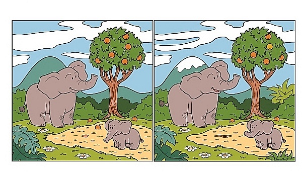 Найди 15 отличий 