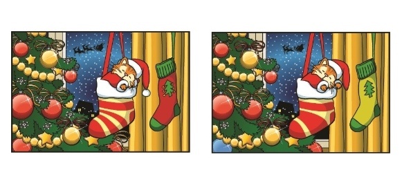 Найди 10 отличий 