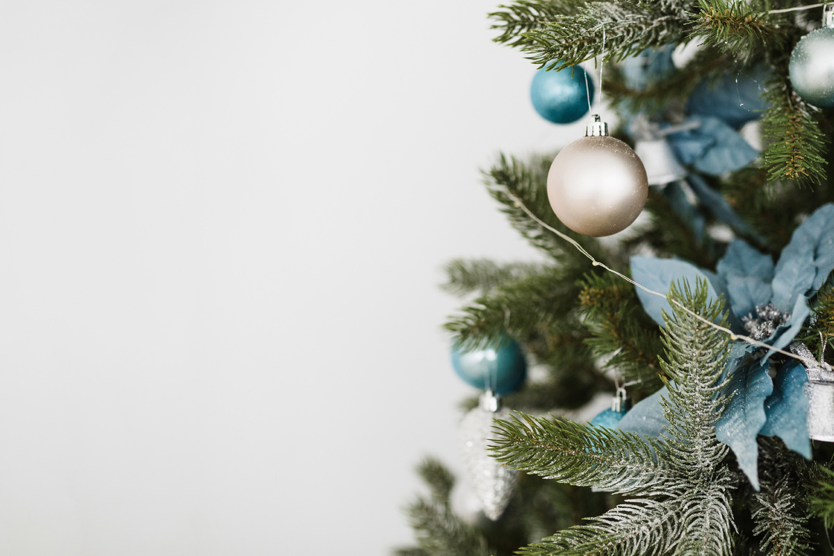     Зелёное Рождество: как уменьшить углеродный след от ёлки