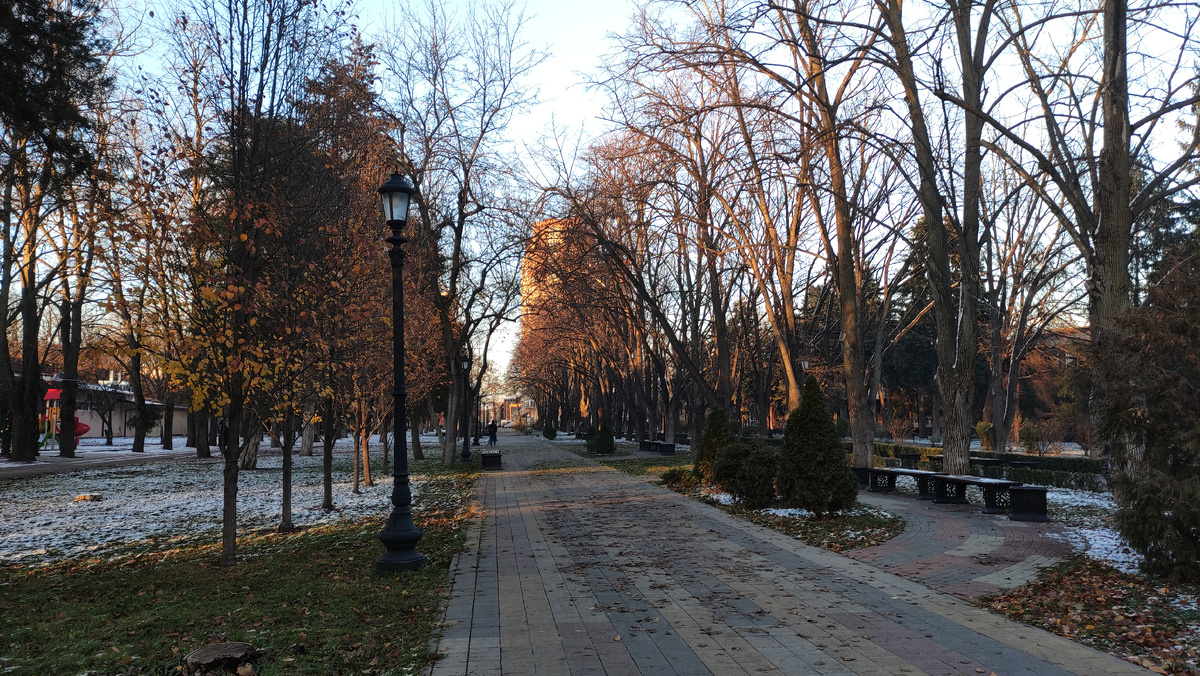 Зимние улицы города Краснодара