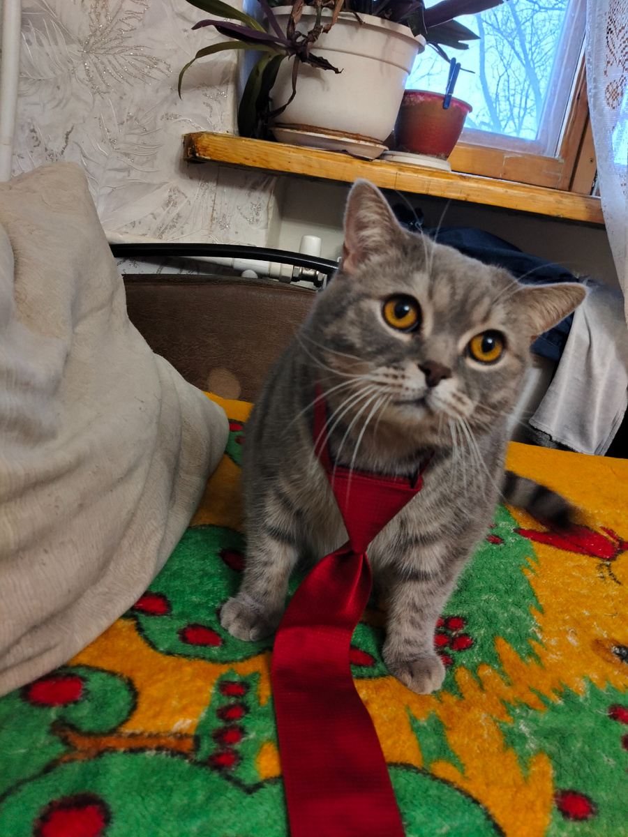 Фото из личного архива