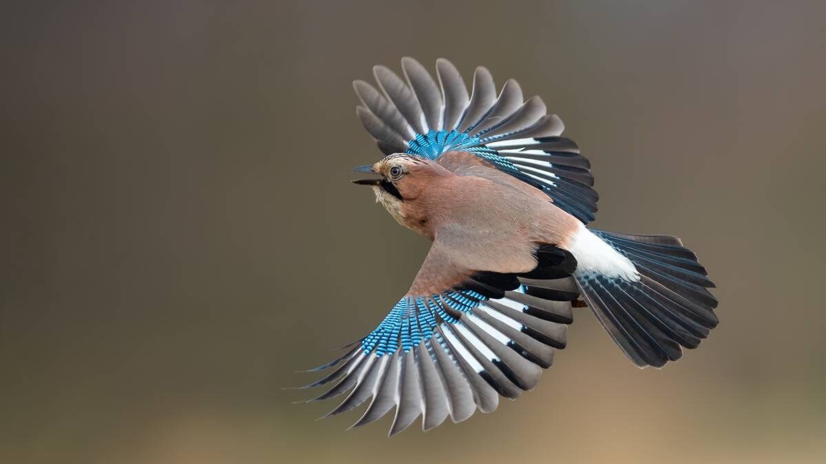    Фото: shutterstock