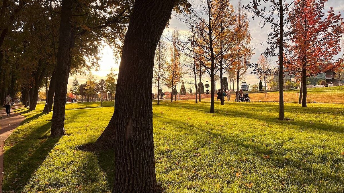    Фото: телеканал «Краснодар»