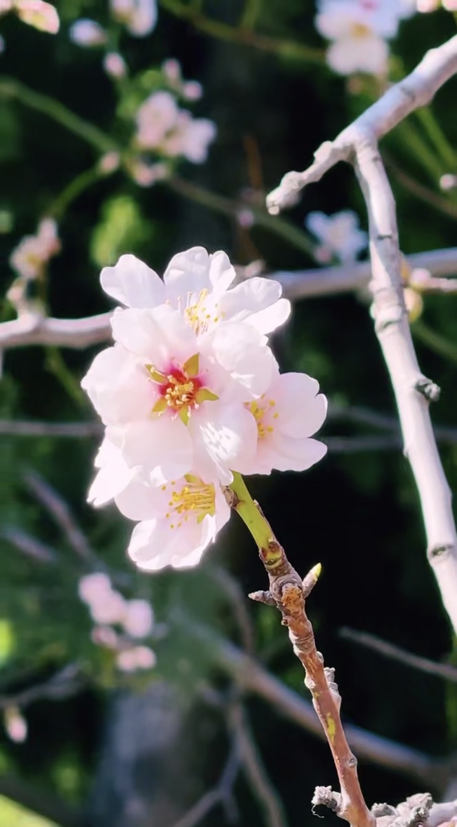 Открытые источники