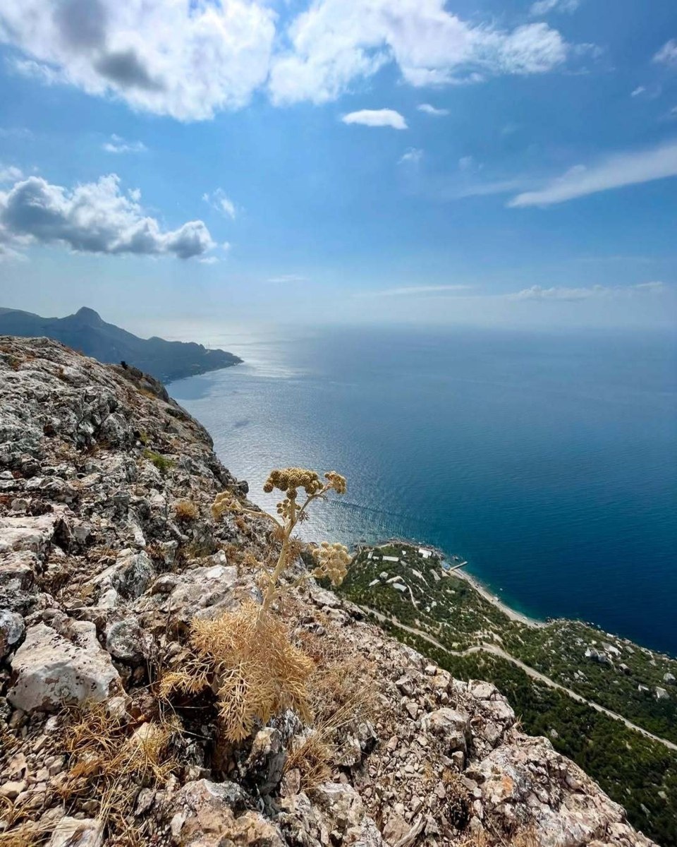 Из открытых источников