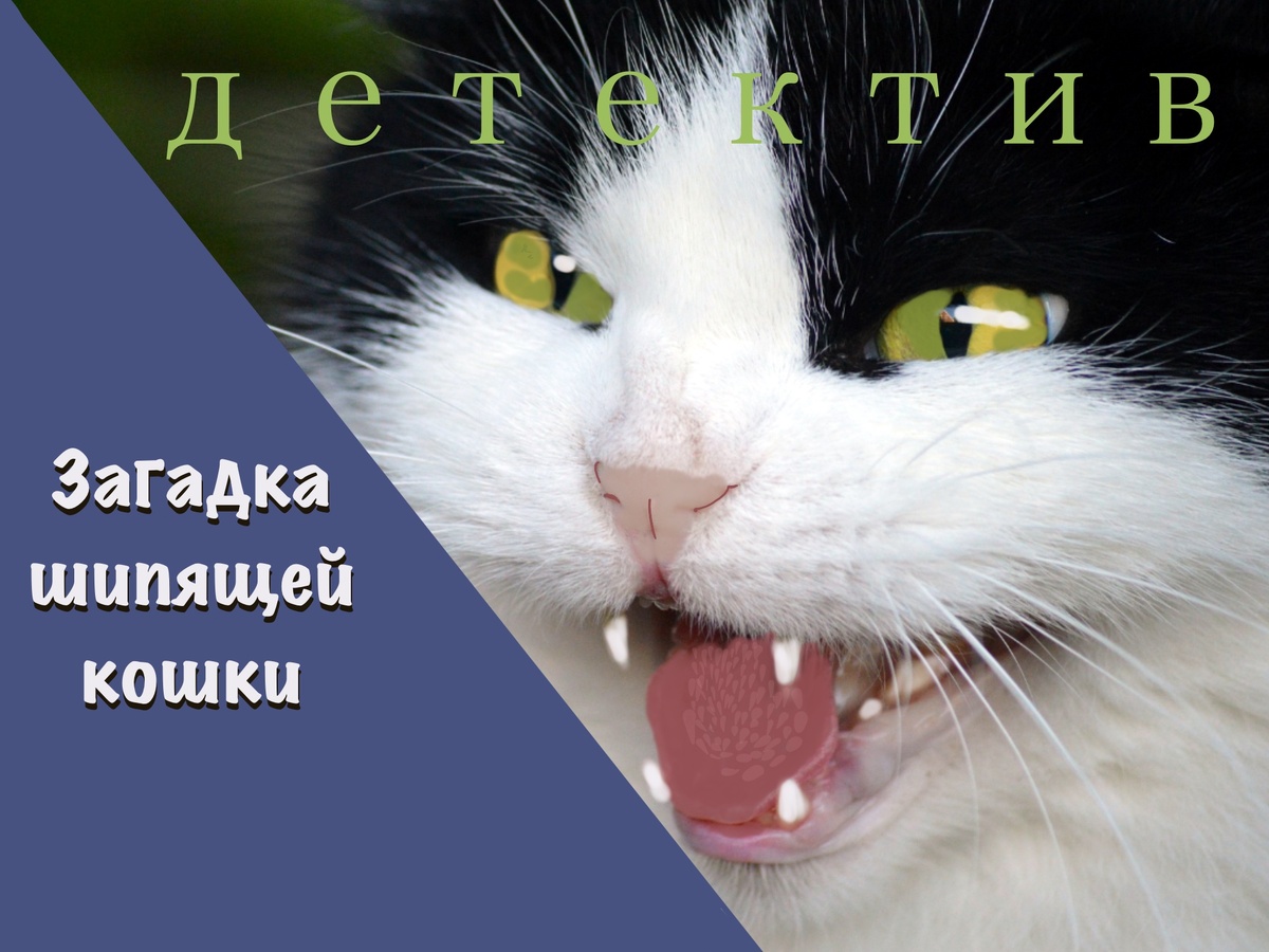 Девятый детектив из серии "Приключения писателя Антона Баулина"