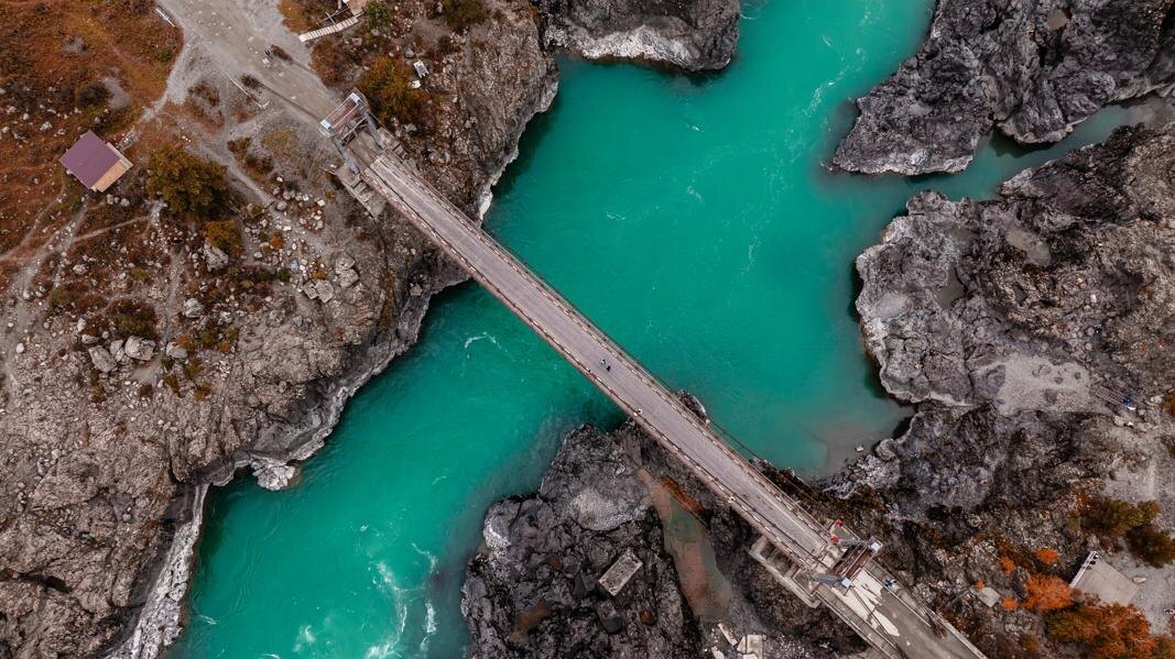 Сакура Алтая. Активные майские