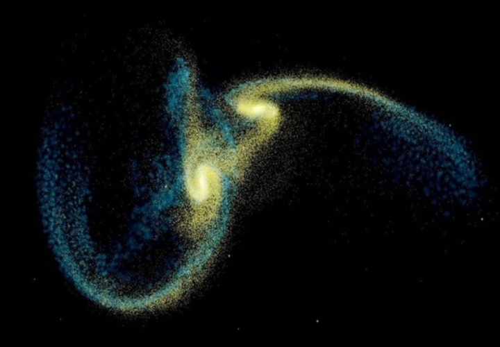 То ль дерутся, то ли любятся, а хвосты-то отдаляют! Или так сперматозоиды пол ребёнка выбирают?