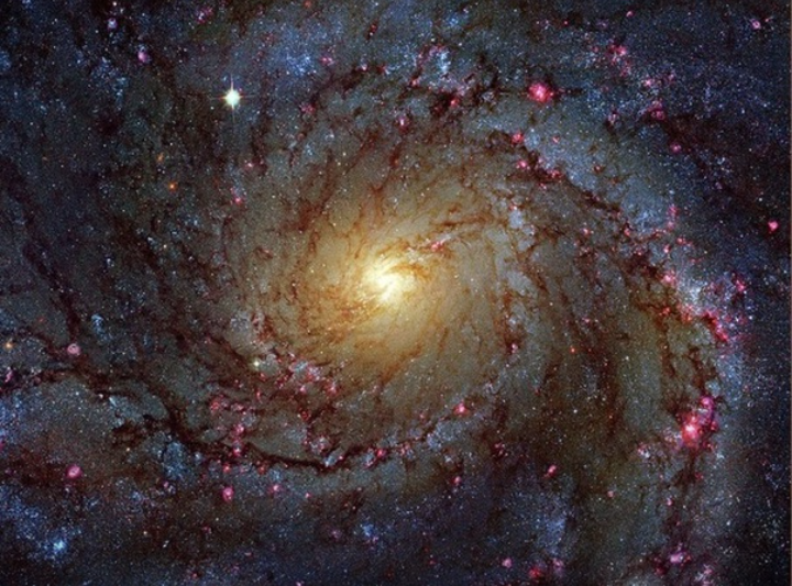 Морских штормов удачи зарождения и вероятность бедственных тайфунов: студенту -- пламя звёздного творения, профессору -- трезвоны говорунов!