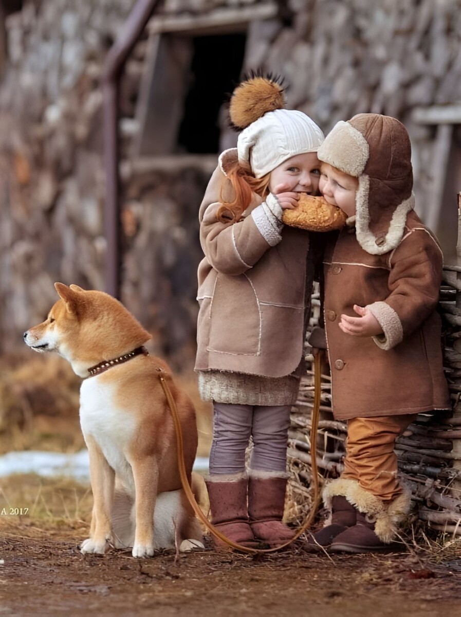 Фото из независимых источников.