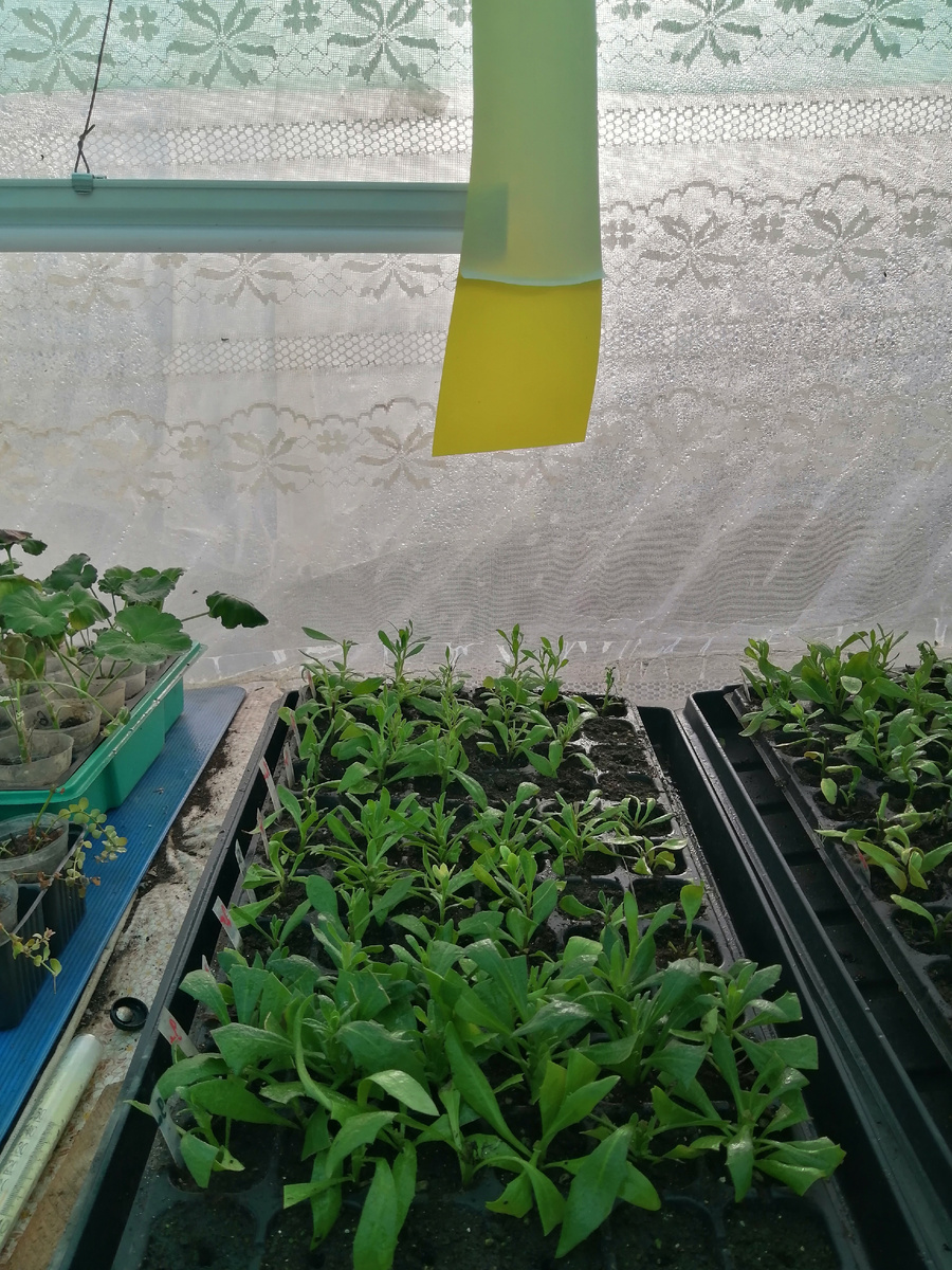 Здесь ещё никто не прилип пока