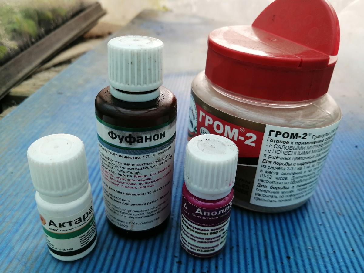 Стражи порядка