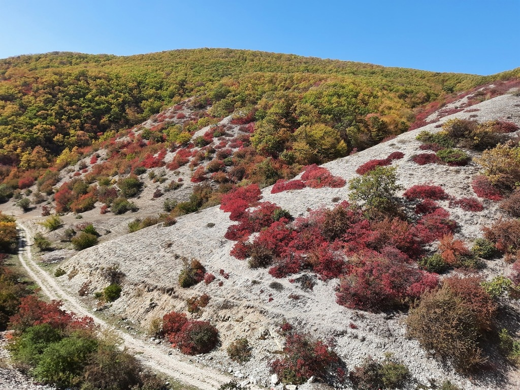 Решаем экологические проблемы до того как это стало мейнстримом