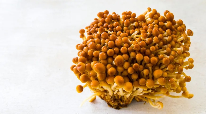 А эта семейка загорелая. И света достаточно было, и вообще... но тоже культивированная.