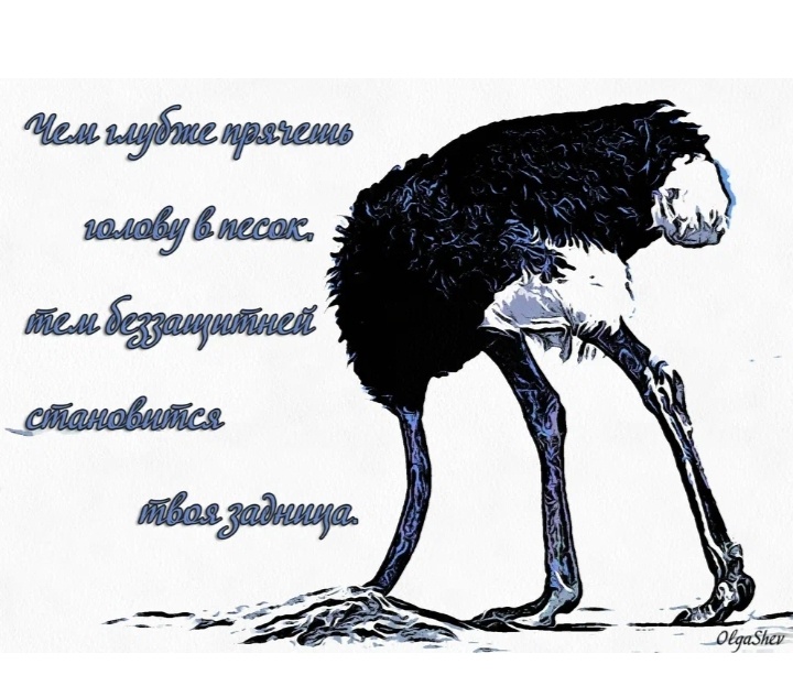 Картинка из сети интернет