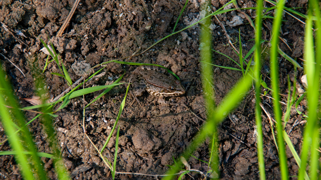    Svetlana Vozmilova/Global Look Press