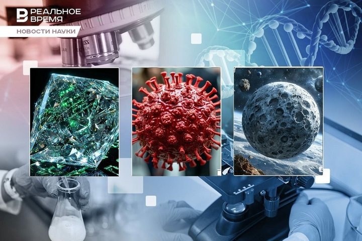 Фото: коллаж "Реального времени"