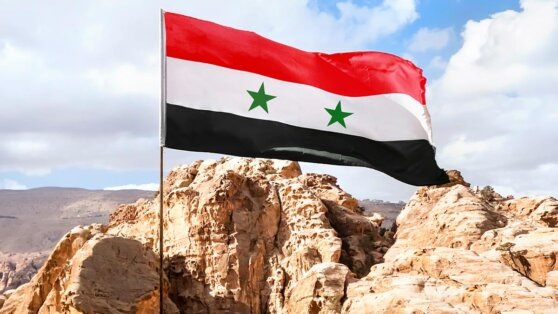    Премьер-министр Сирии заявил о готовности мирно передать власть в стране Андрей Галкин