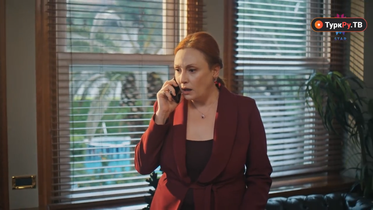 Стоп-кадр. Сериал "Зимородок", 86 серия