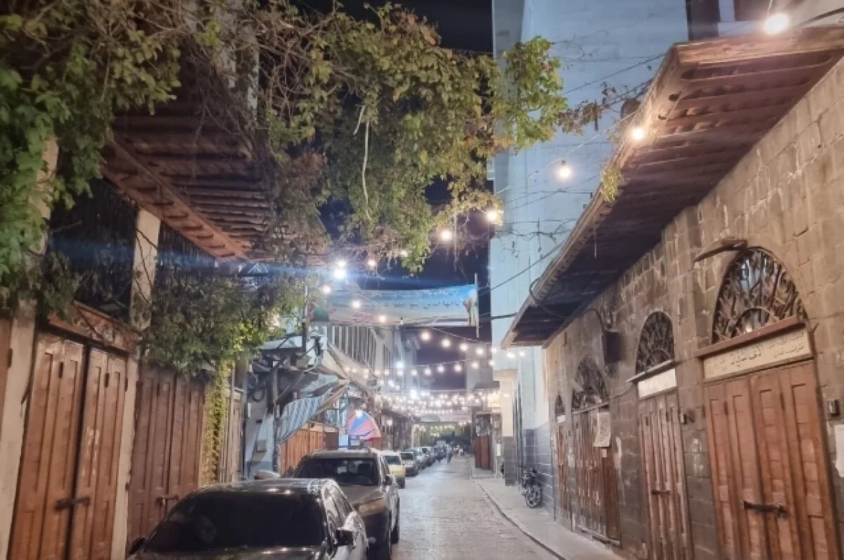    Военкор Котенок: боевики захватили Дамаск без сопротивления