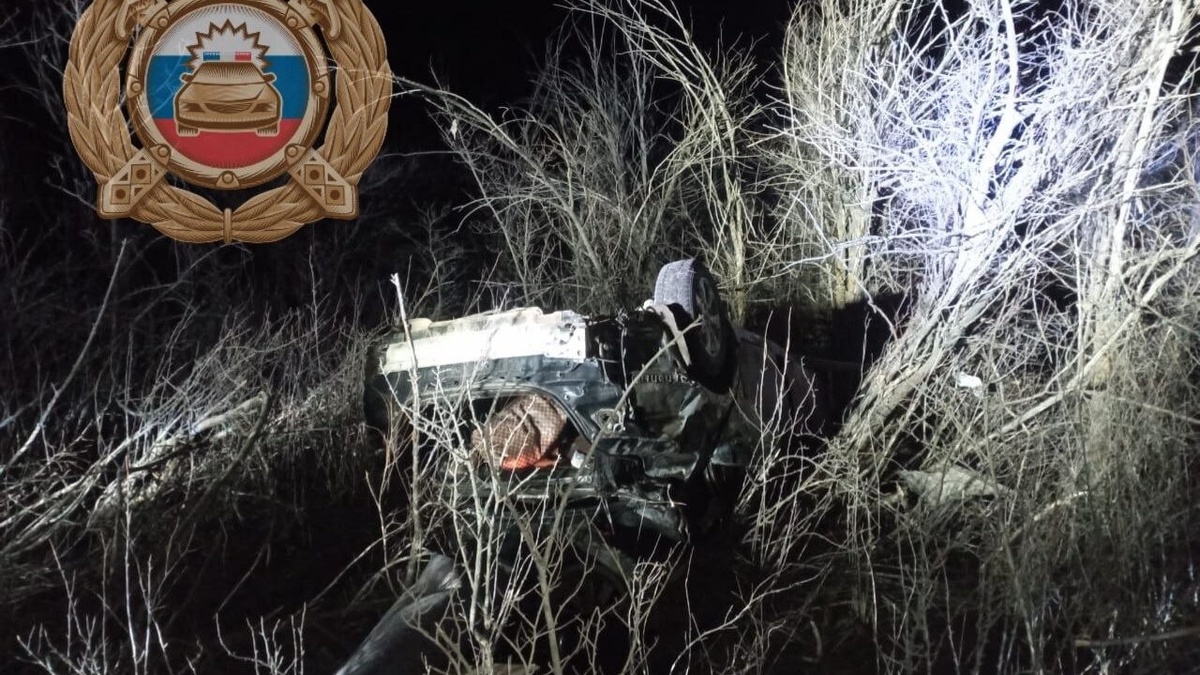    2 погибли и 1 покалечился в ночном ДТП «Тойоты» под СаратовомНовости Саратова и области – Сетевое издание «Репортер64»