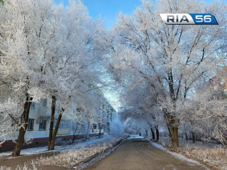    Мороз в Оренбурге: В декабре, в декабре все деревья в серебре Белов Михаил Александрович