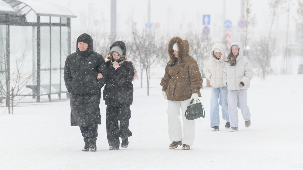    Фото: Ilya Moskovets/Globallookpress