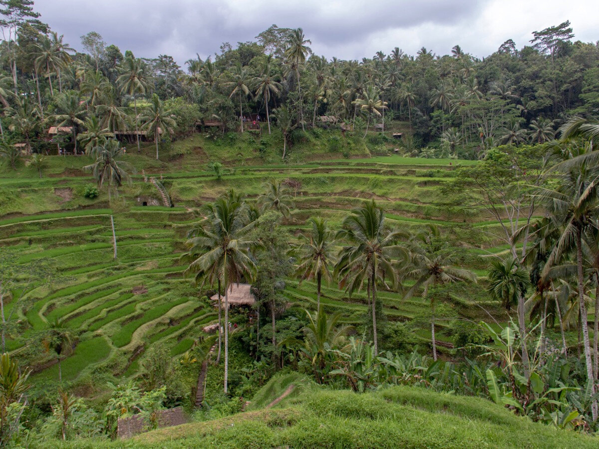 Сюда лучше приезжать до обеда — туристов меньше и не так жарко. Источник: unsplash.com