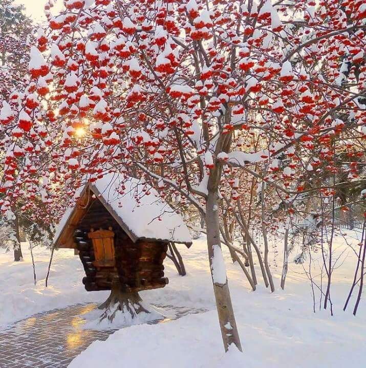 Возможно Тимофей останавливается здесь, когда приходит к нам в гости из своего леса?!